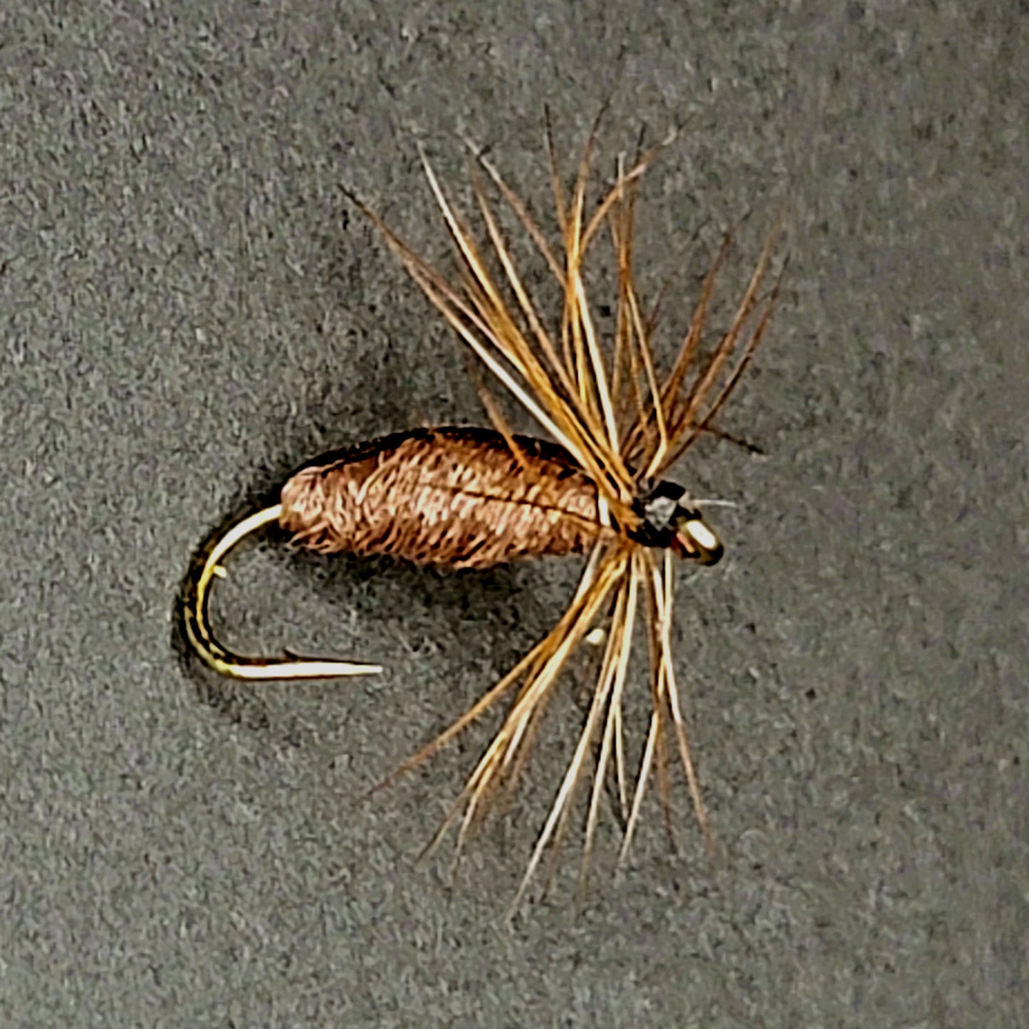 Brown Beetle - (Pack of 3)