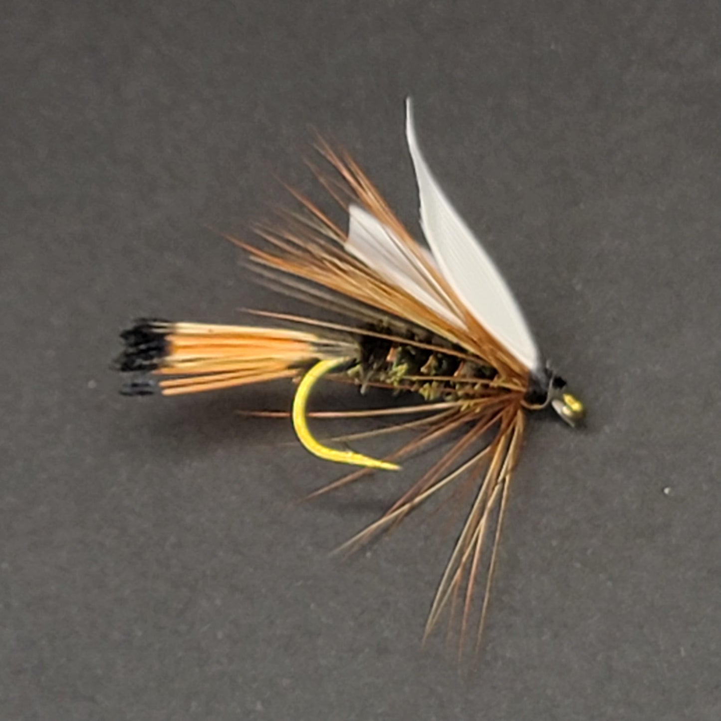 Western Coachman - (Pack of 3)