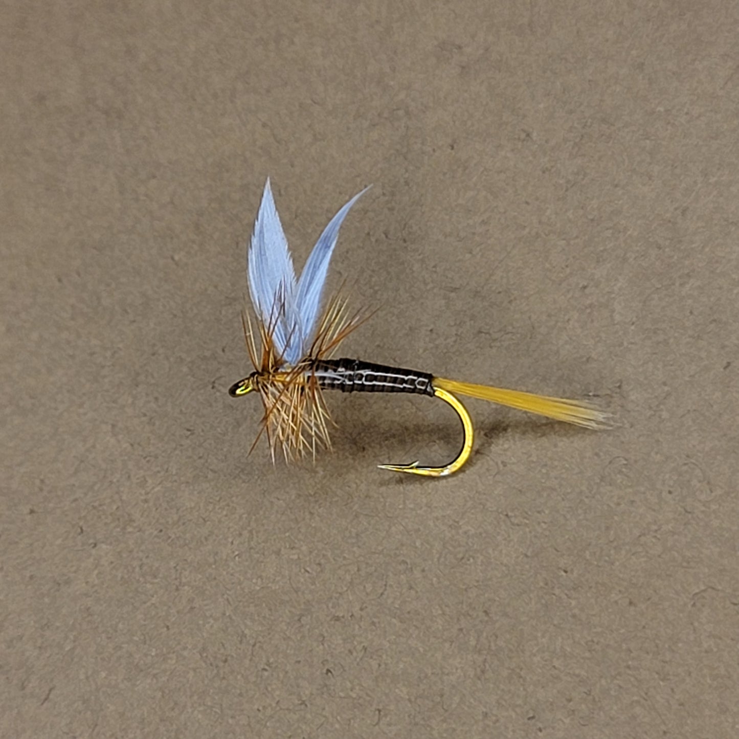 Ginger Quill - (Pack of 3)