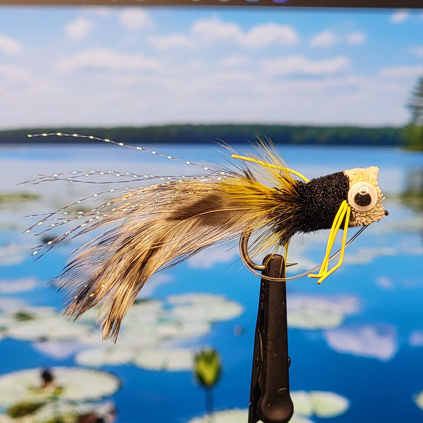 Popper Froggy - Size #4 & #1