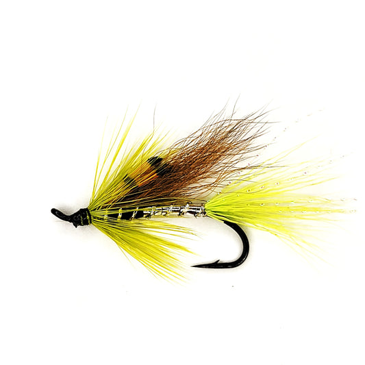 Ally's Shrimp Green Yellow