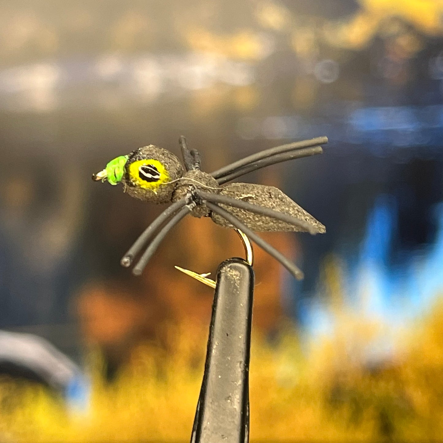 Big Eye Sponge Spider - (Pack of 3)