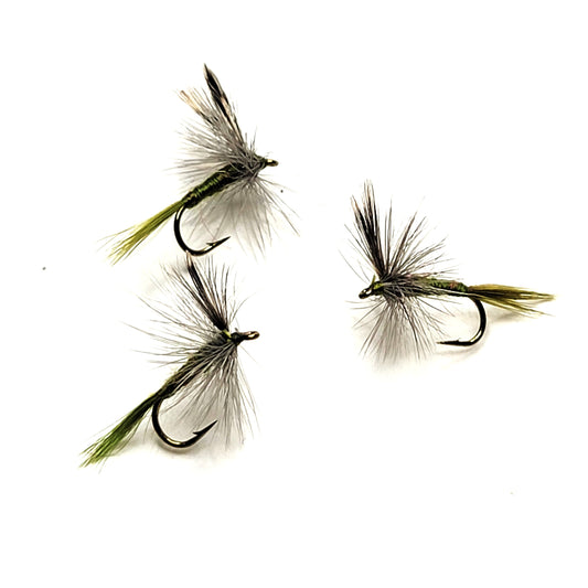 Blue Winged Olive - (Pack of 3)