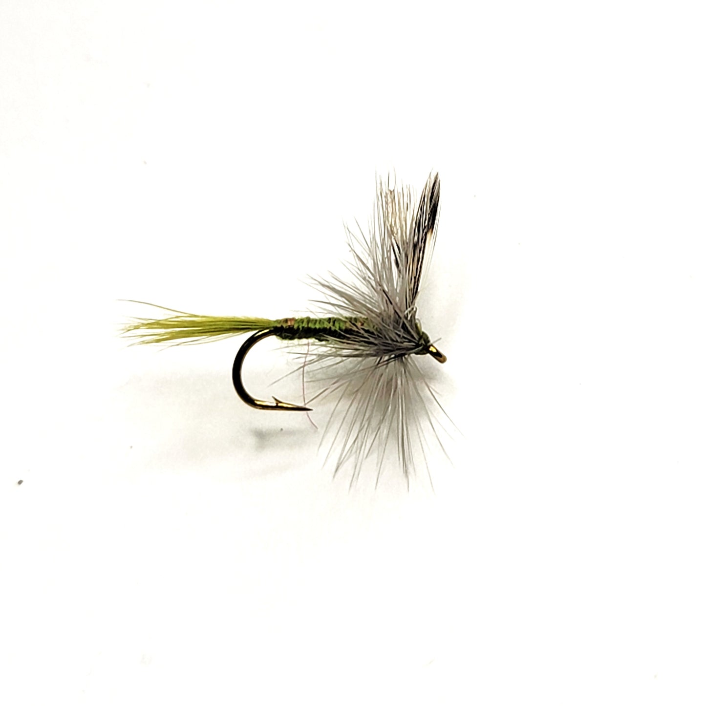 Blue Winged Olive - (Pack of 3)
