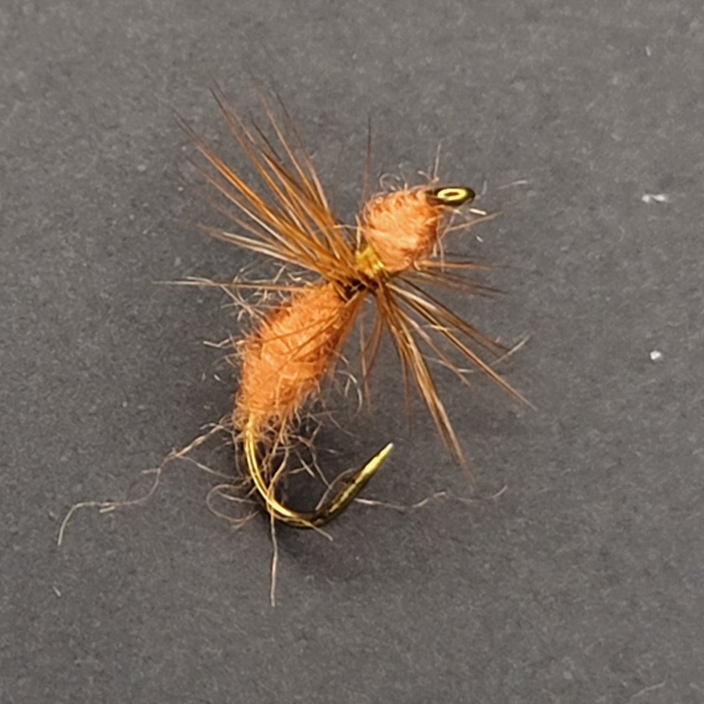 Brown Ant - (Pack of 3)