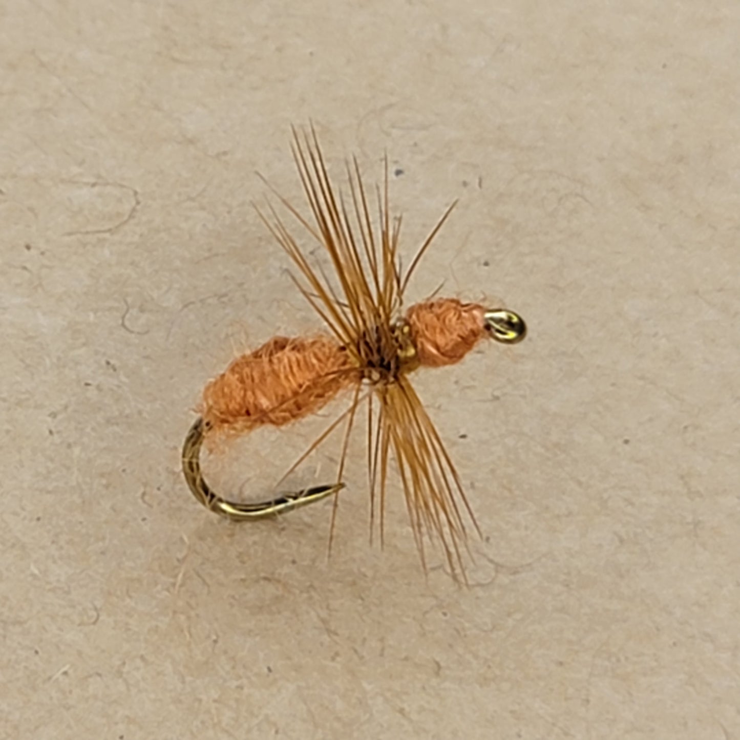 Brown Ant - (Pack of 3)