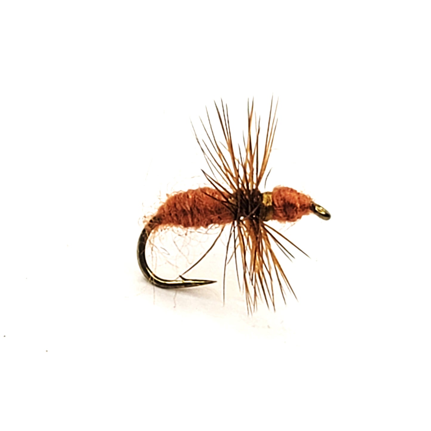 Brown Ant - (Pack of 3)