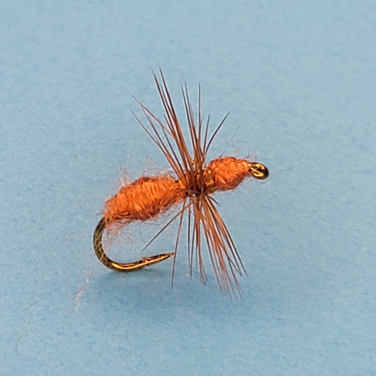 Brown Ant - (Pack of 3)