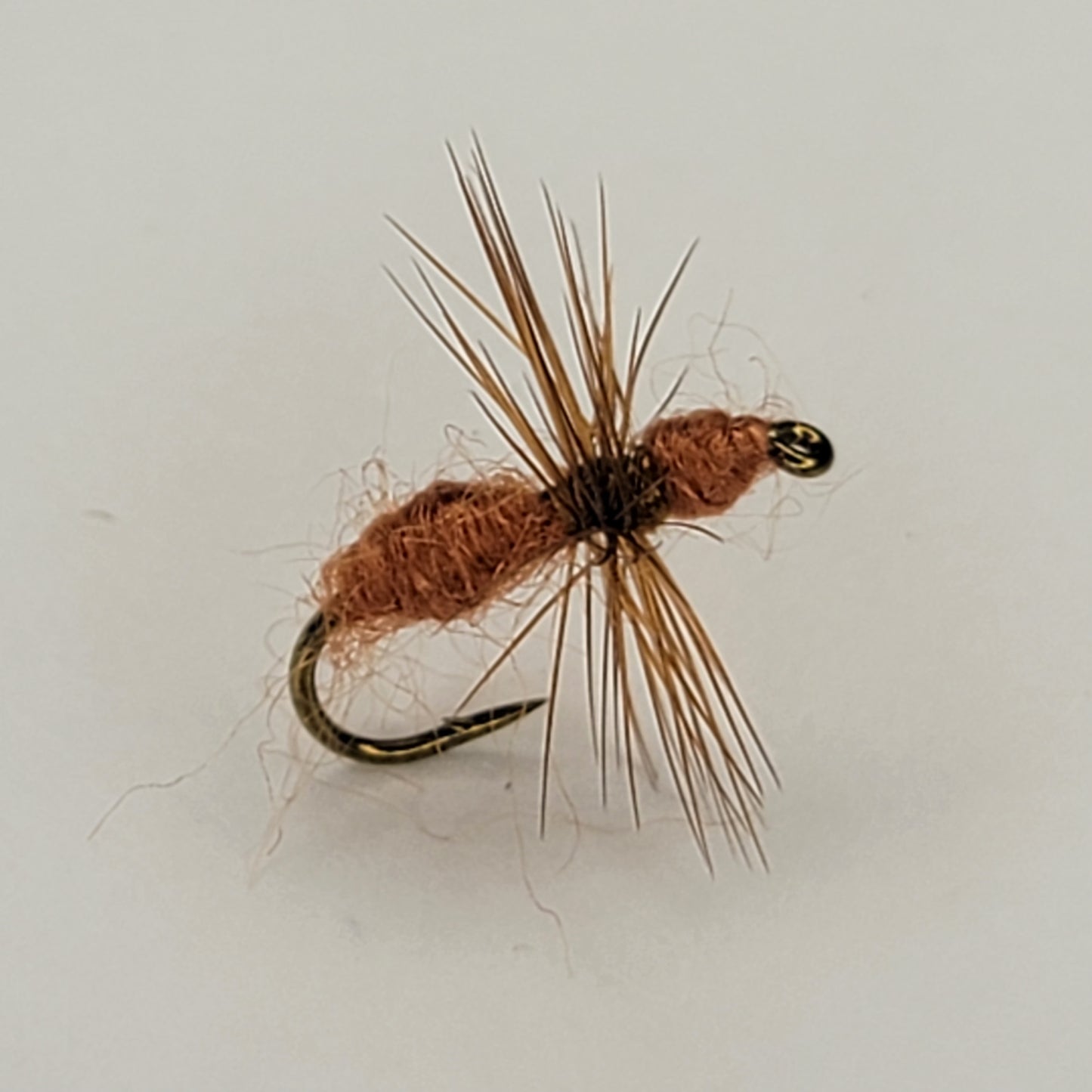 Brown Ant - (Pack of 3)
