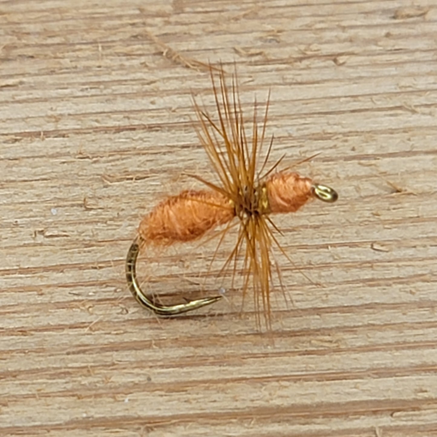 Brown Ant - (Pack of 3)