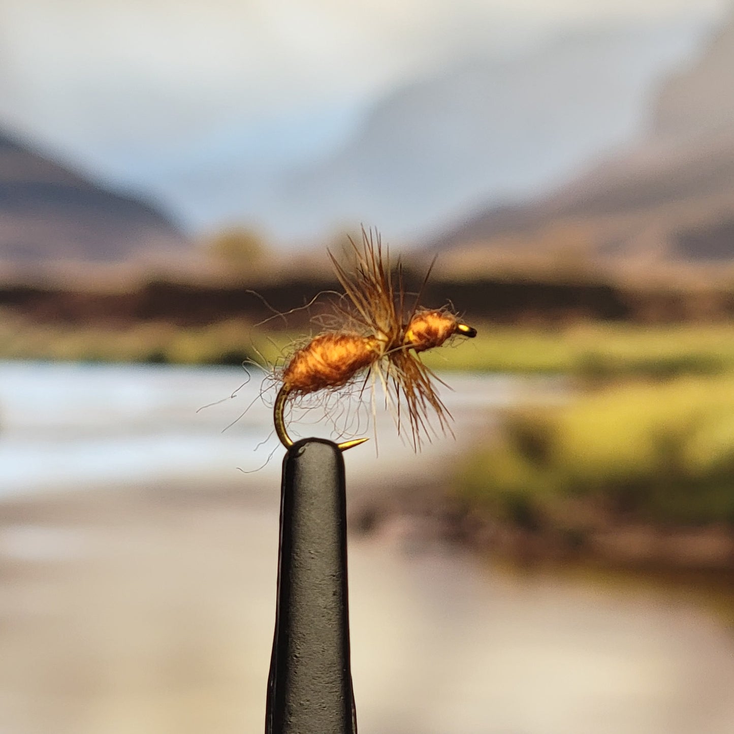 Brown Ant - (Pack of 3)