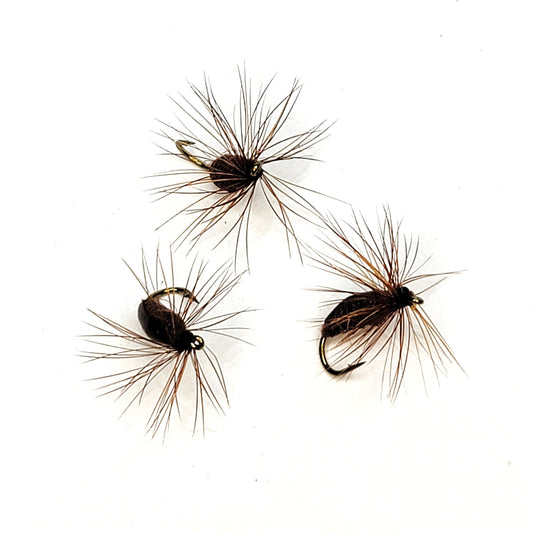 Brown Beetle - (Pack of 3)