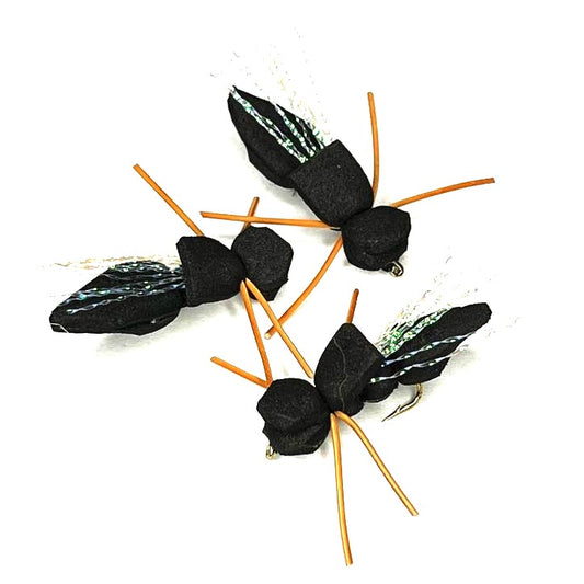 Cicada - (Pack of 3)