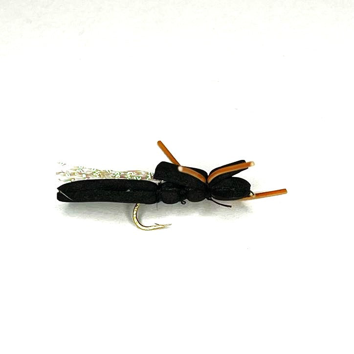 Cicada - (Pack of 3)