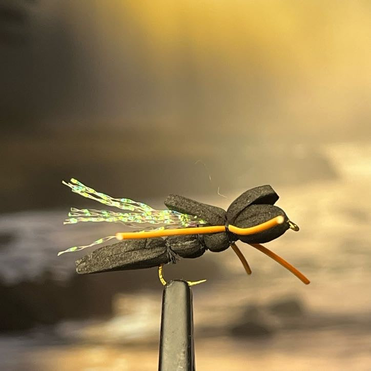 Cicada - (Pack of 3)