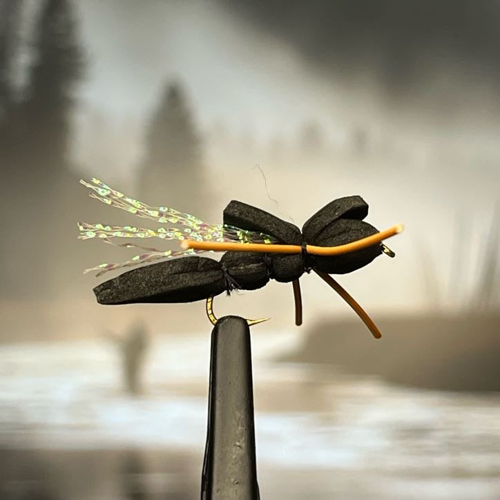 Cicada - (Pack of 3)