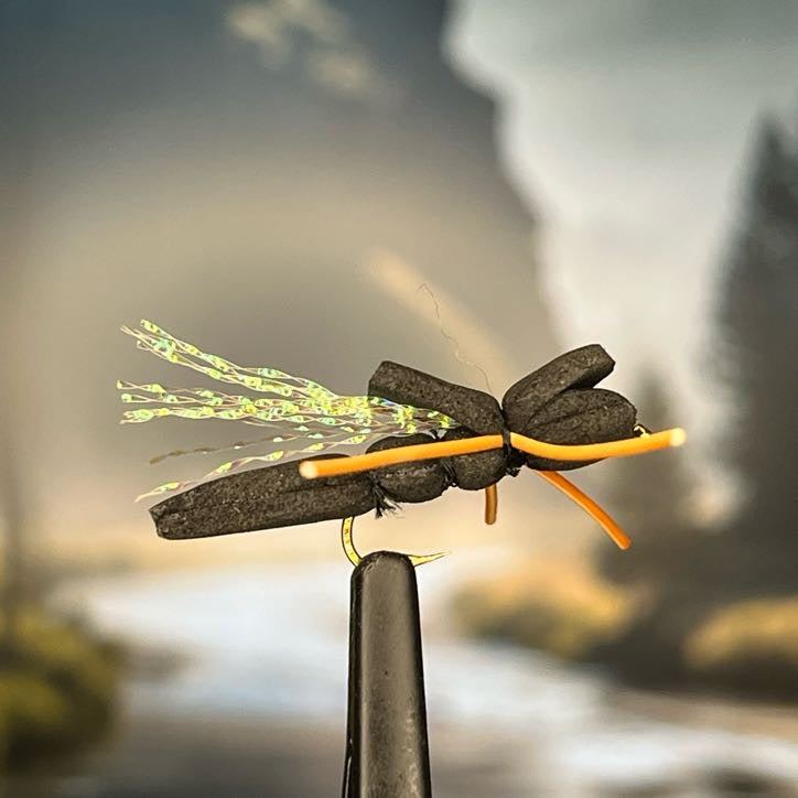 Cicada - (Pack of 3)
