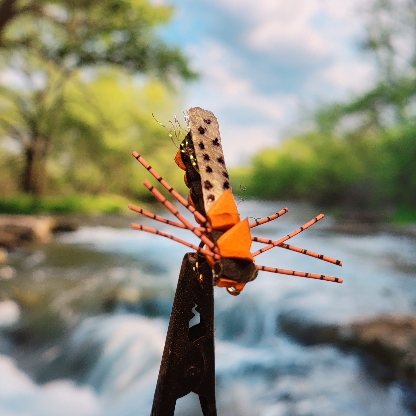 Cicada - (Pack of 3)