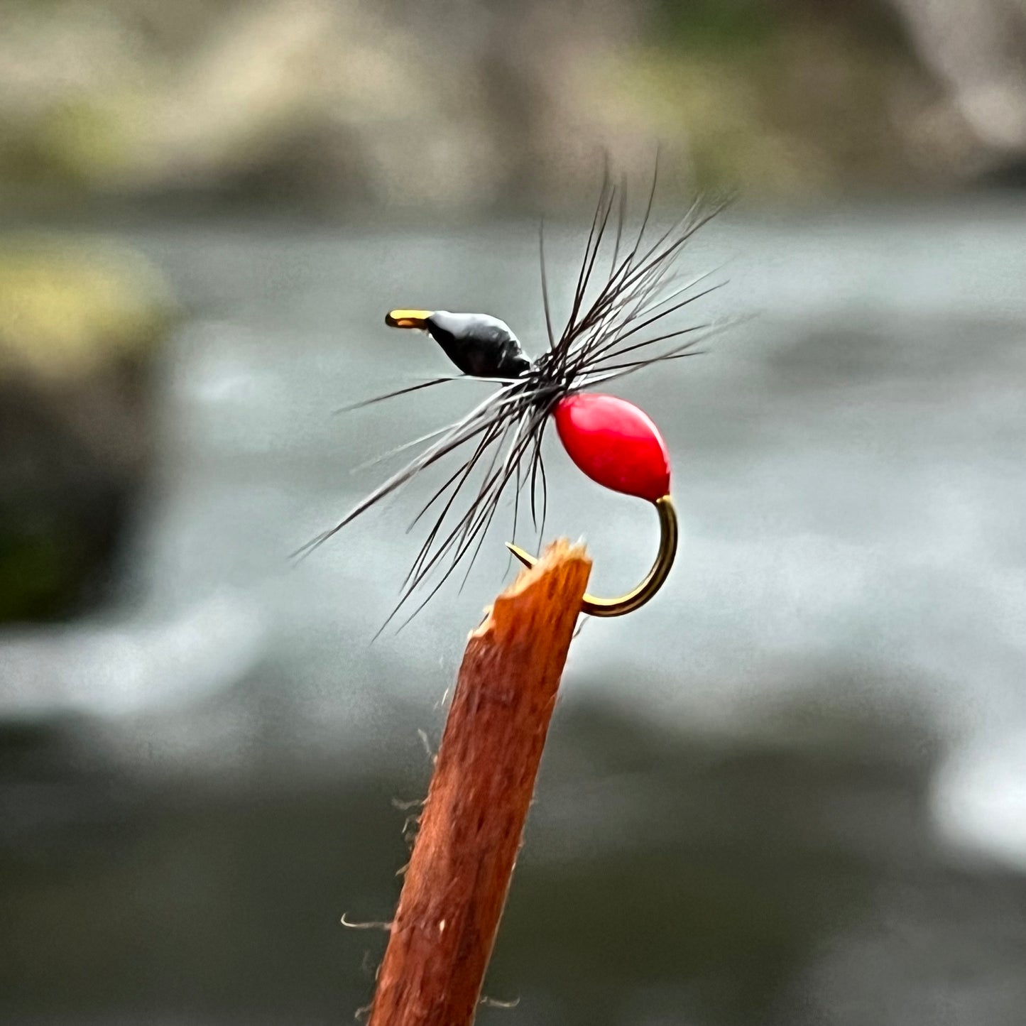 Black Flying Ant - (Pack of 3)