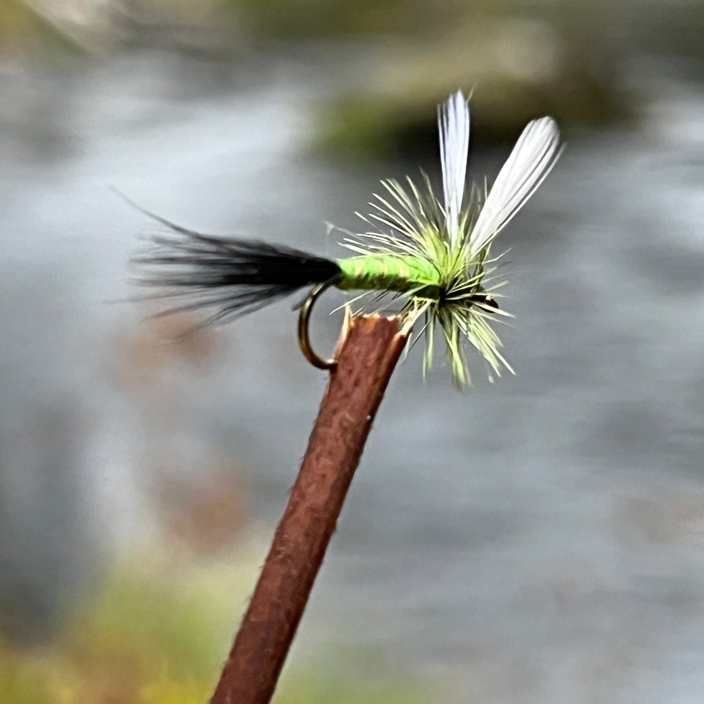 Blue Winged Olive - (Pack of 3)
