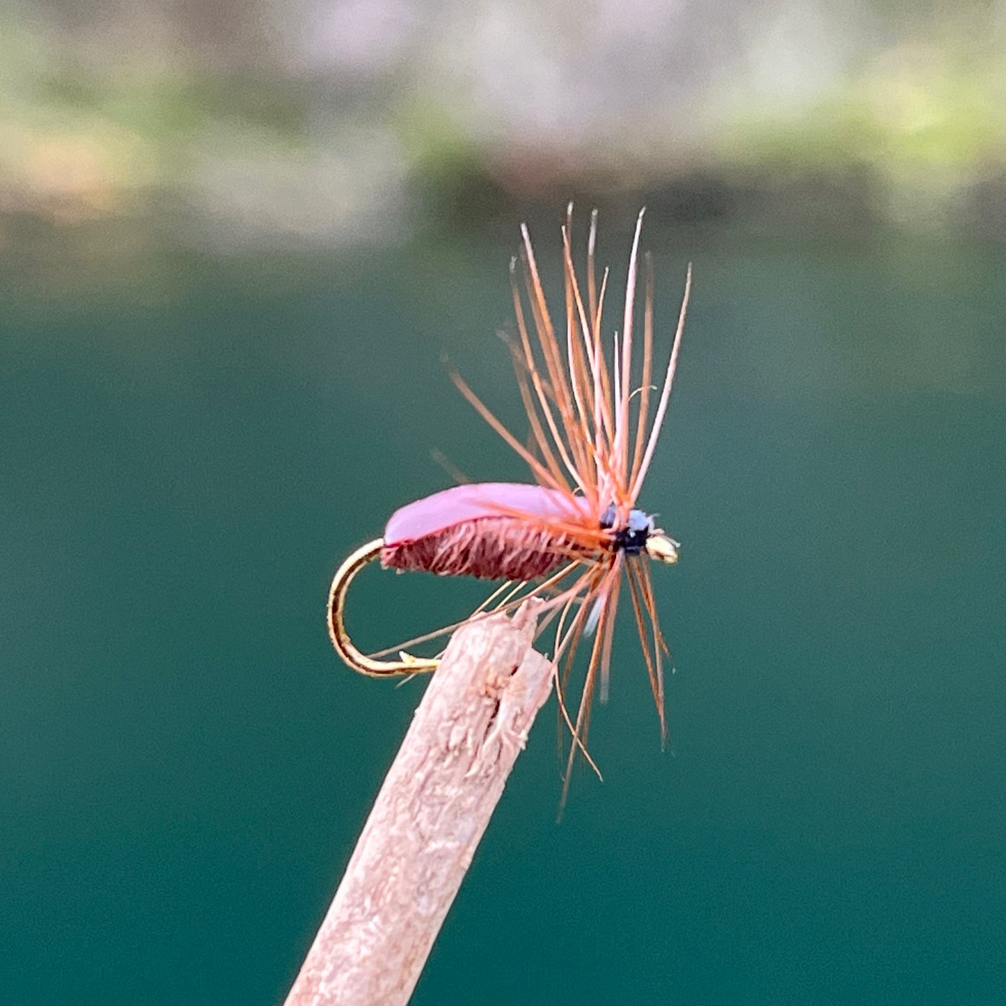 Brown Beetle - (Pack of 3)