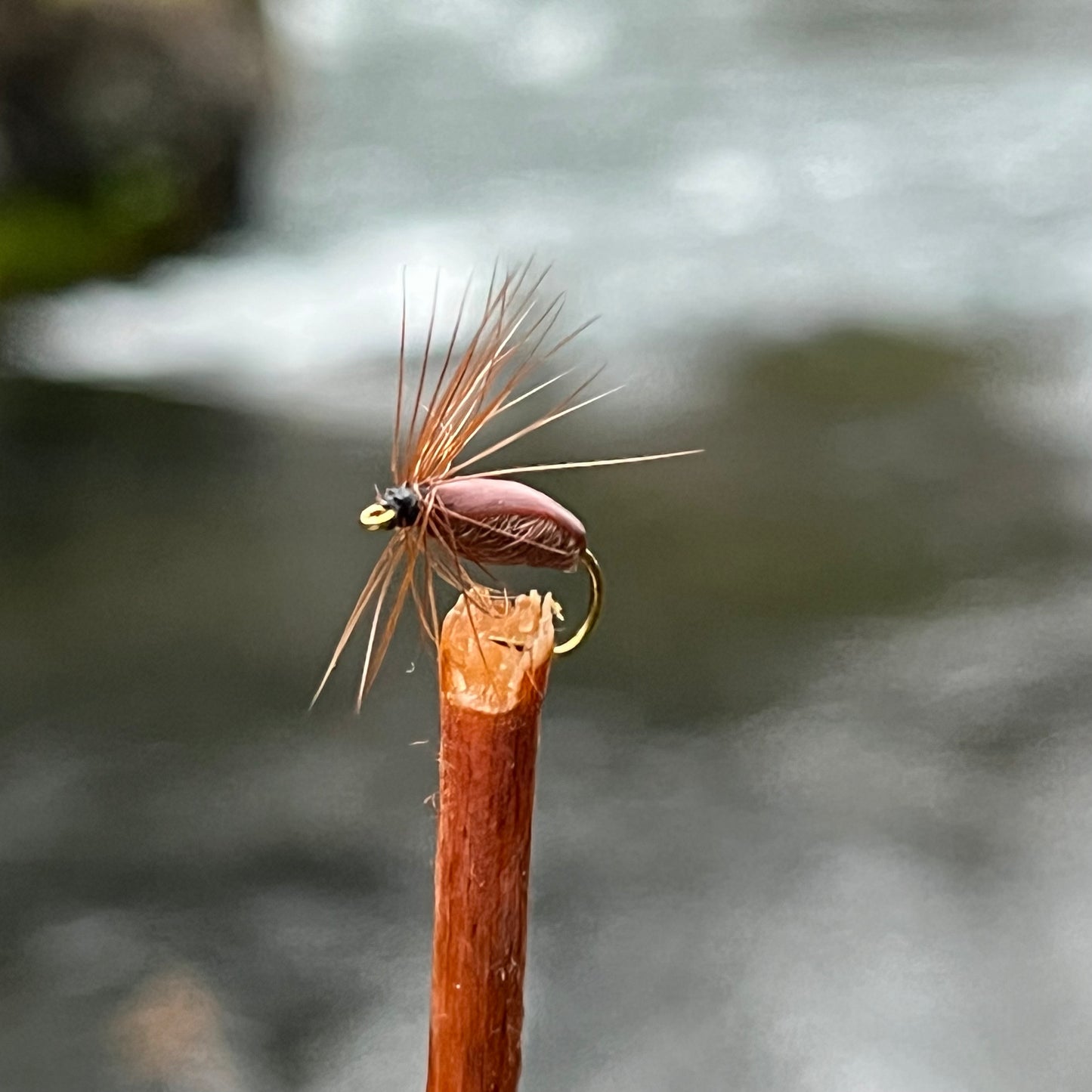 Brown Beetle - (Pack of 3)