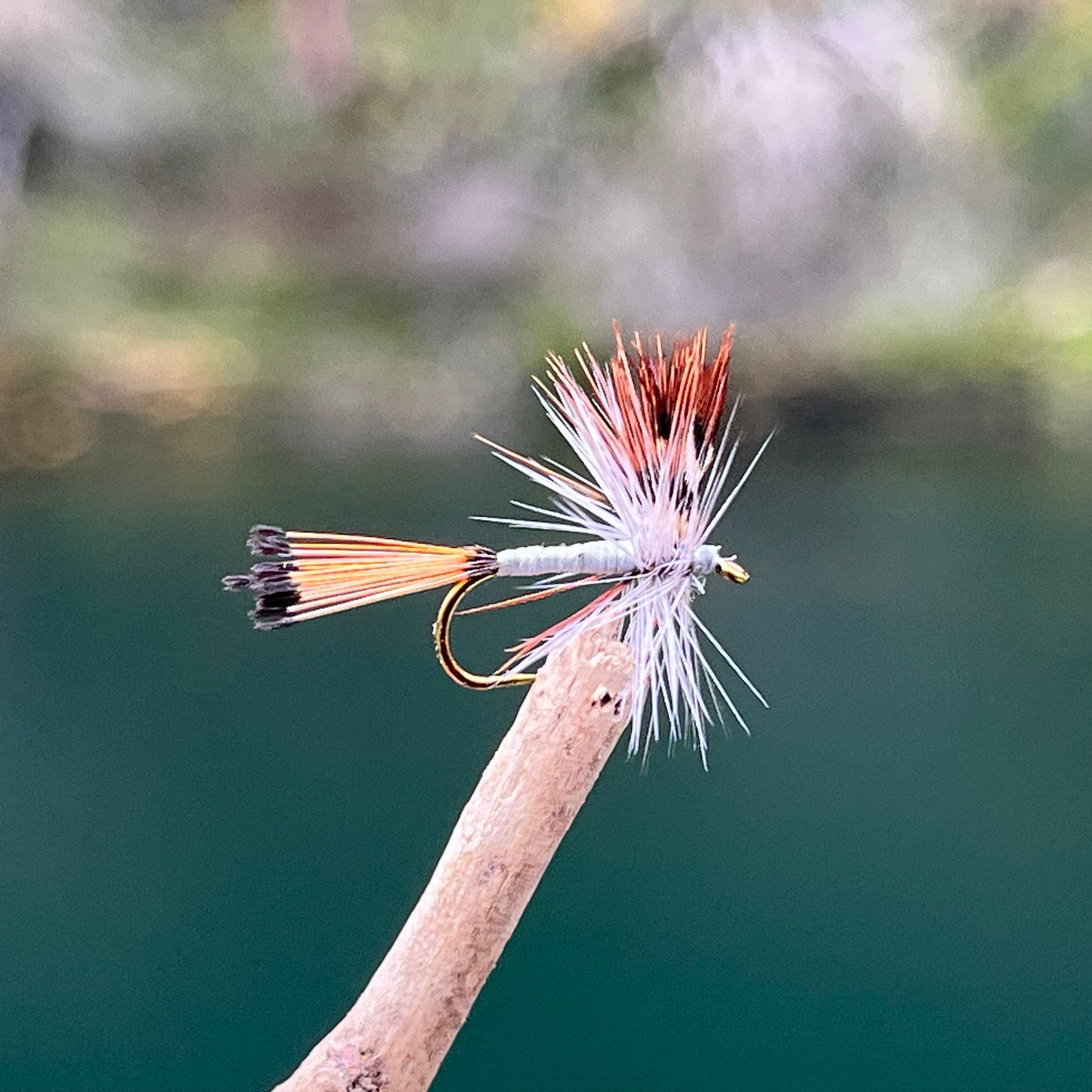 Mayfly - (Pack of 3)