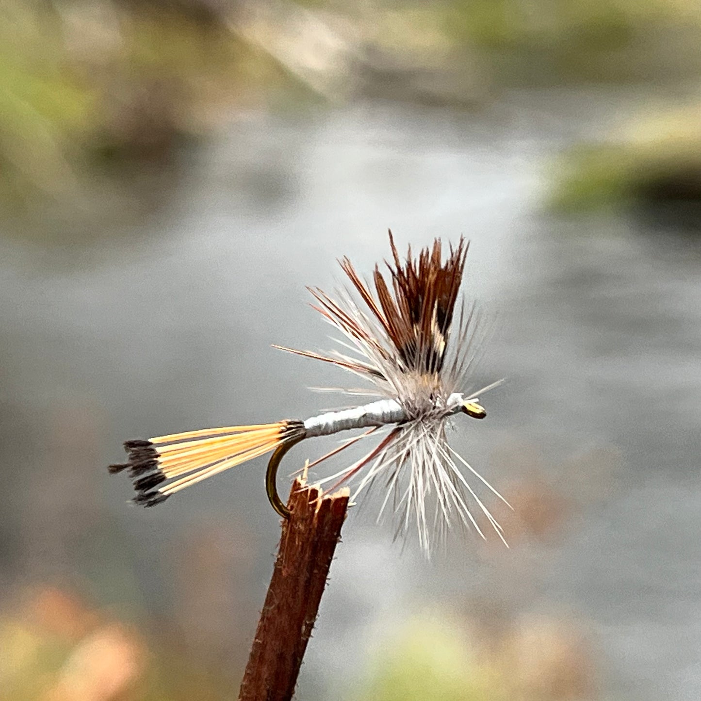 Mayfly - (Pack of 3)