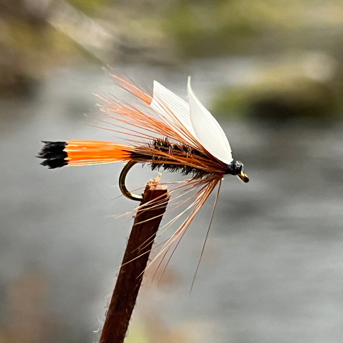 Western Coachman - (Pack of 3)