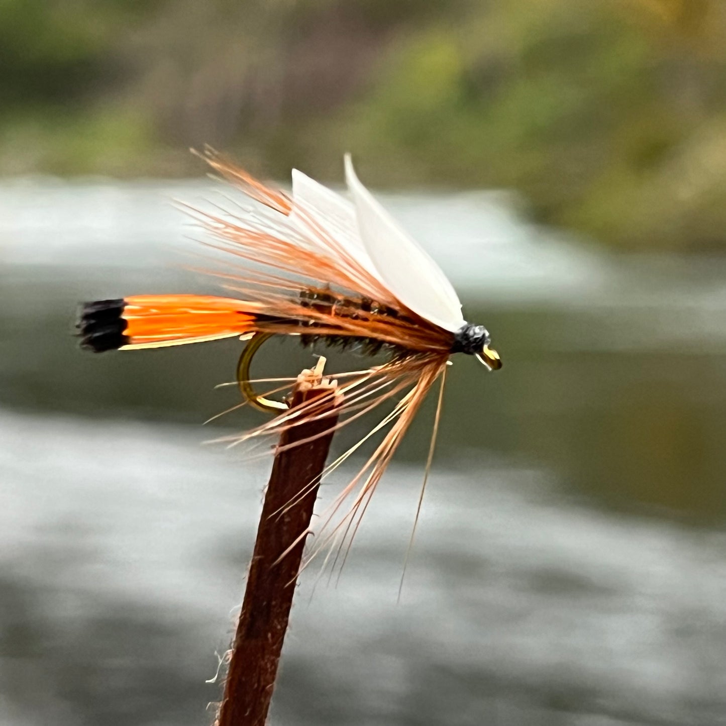 Western Coachman - (Pack of 3)