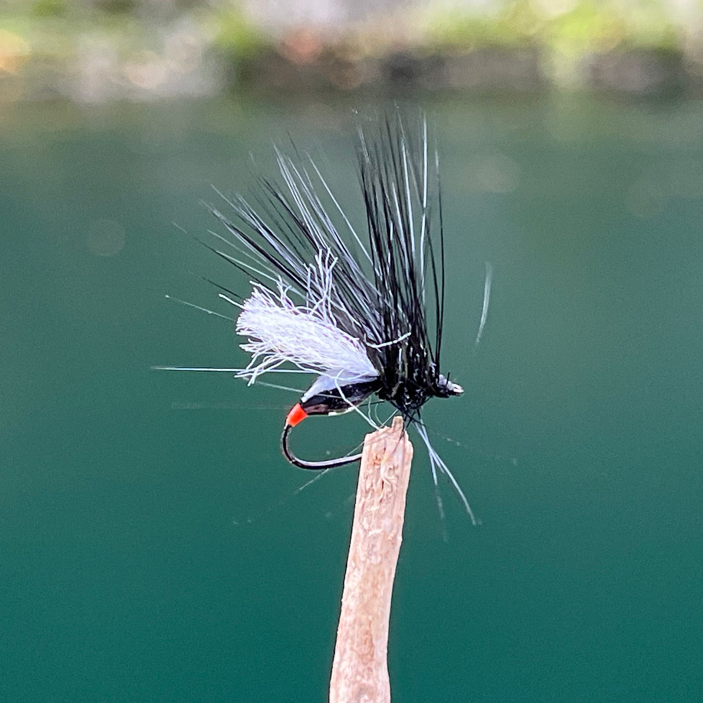 Winged Black Ant - (Pack of 3)