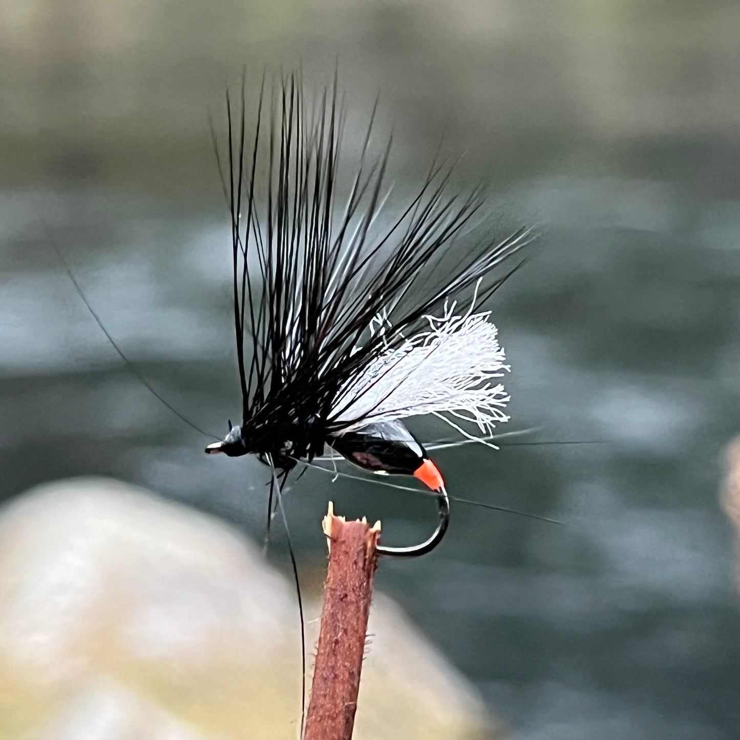 Winged Black Ant - (Pack of 3)