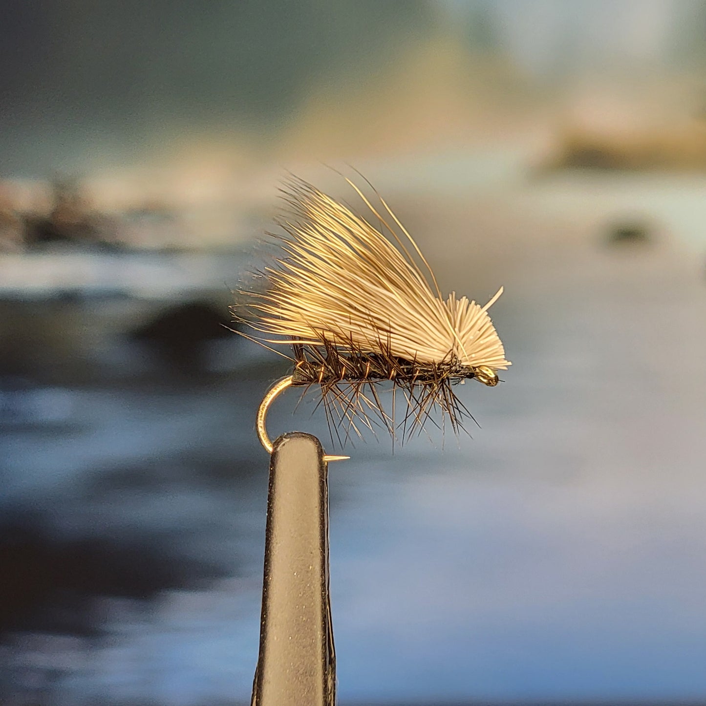 Elk Hair Caddis - Various Colors - Sizes #8 to #16 - (Pack of 3)