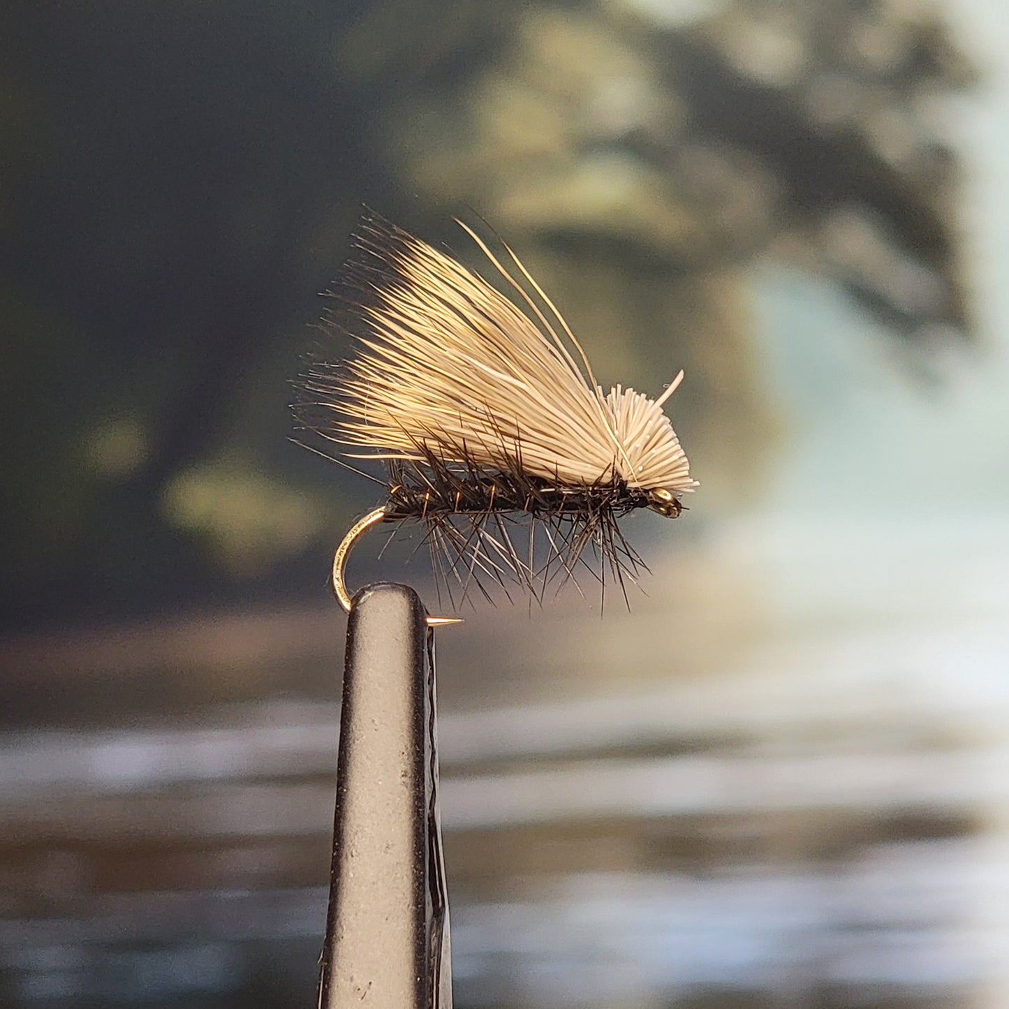 Elk Hair Caddis - Various Colors - Sizes #8 to #16 - (Pack of 3)