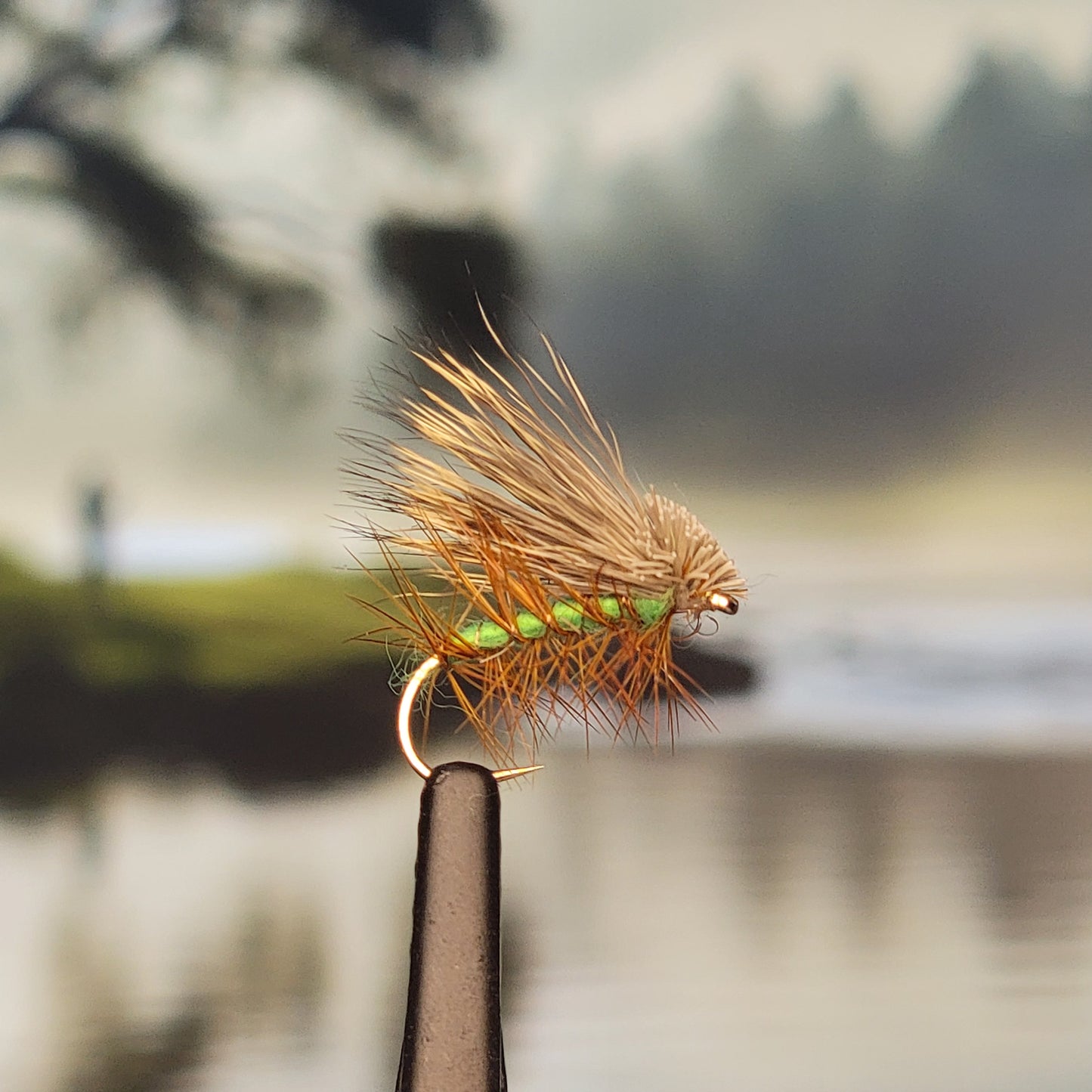 Elk Hair Caddis - Various Colors - Sizes #8 to #16 - (Pack of 3)
