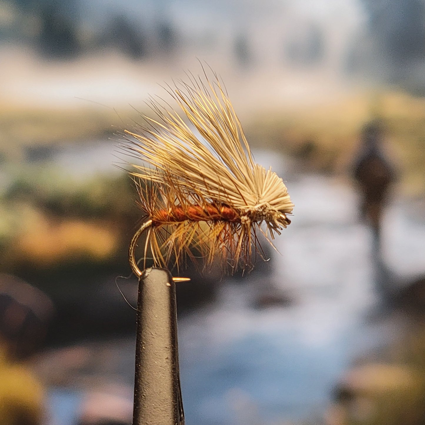 Elk Hair Caddis - Various Colors - Sizes #8 to #16 - (Pack of 3)