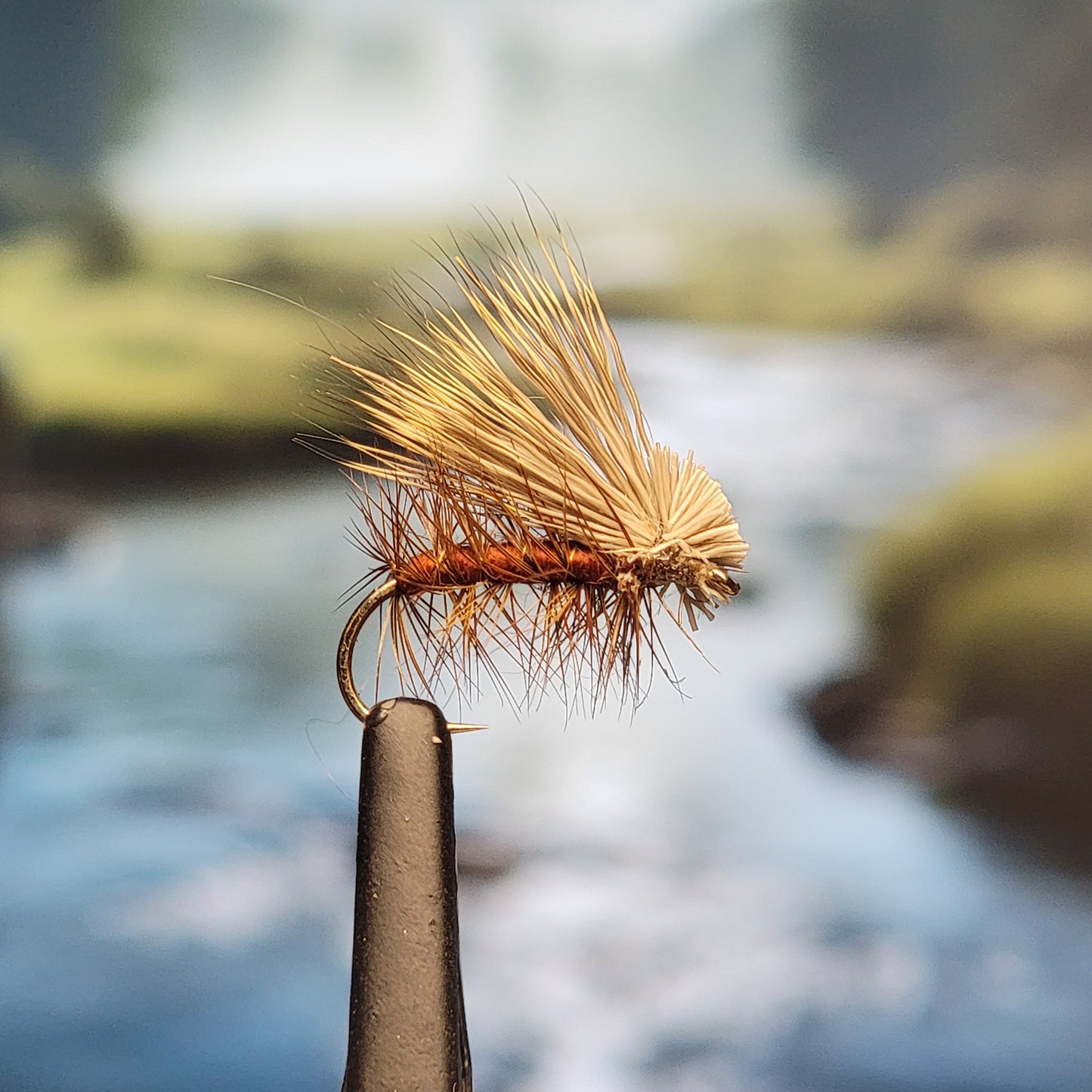 Elk Hair Caddis - Various Colors - Sizes #8 to #16 - (Pack of 3)