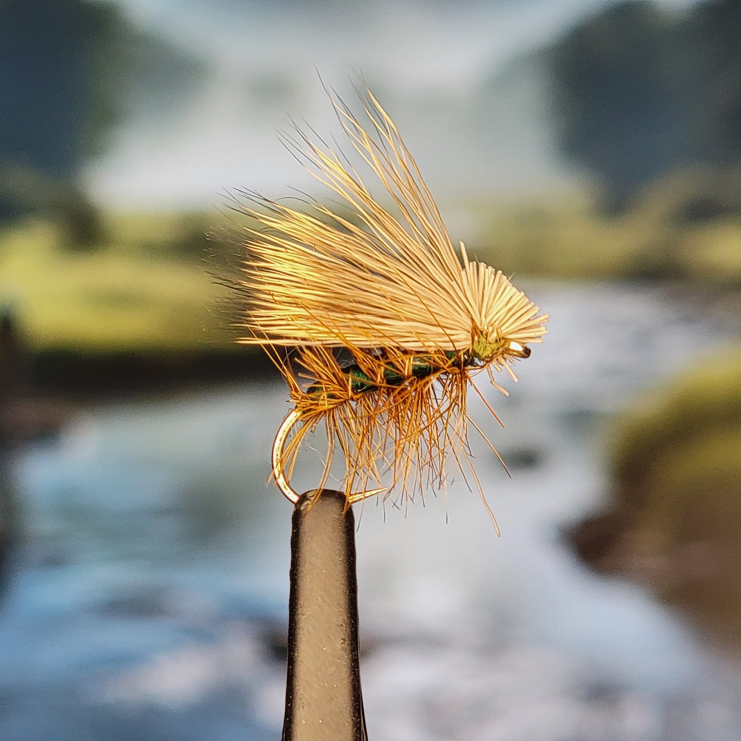 Elk Hair Caddis - Various Colors - Sizes #8 to #16 - (Pack of 3)