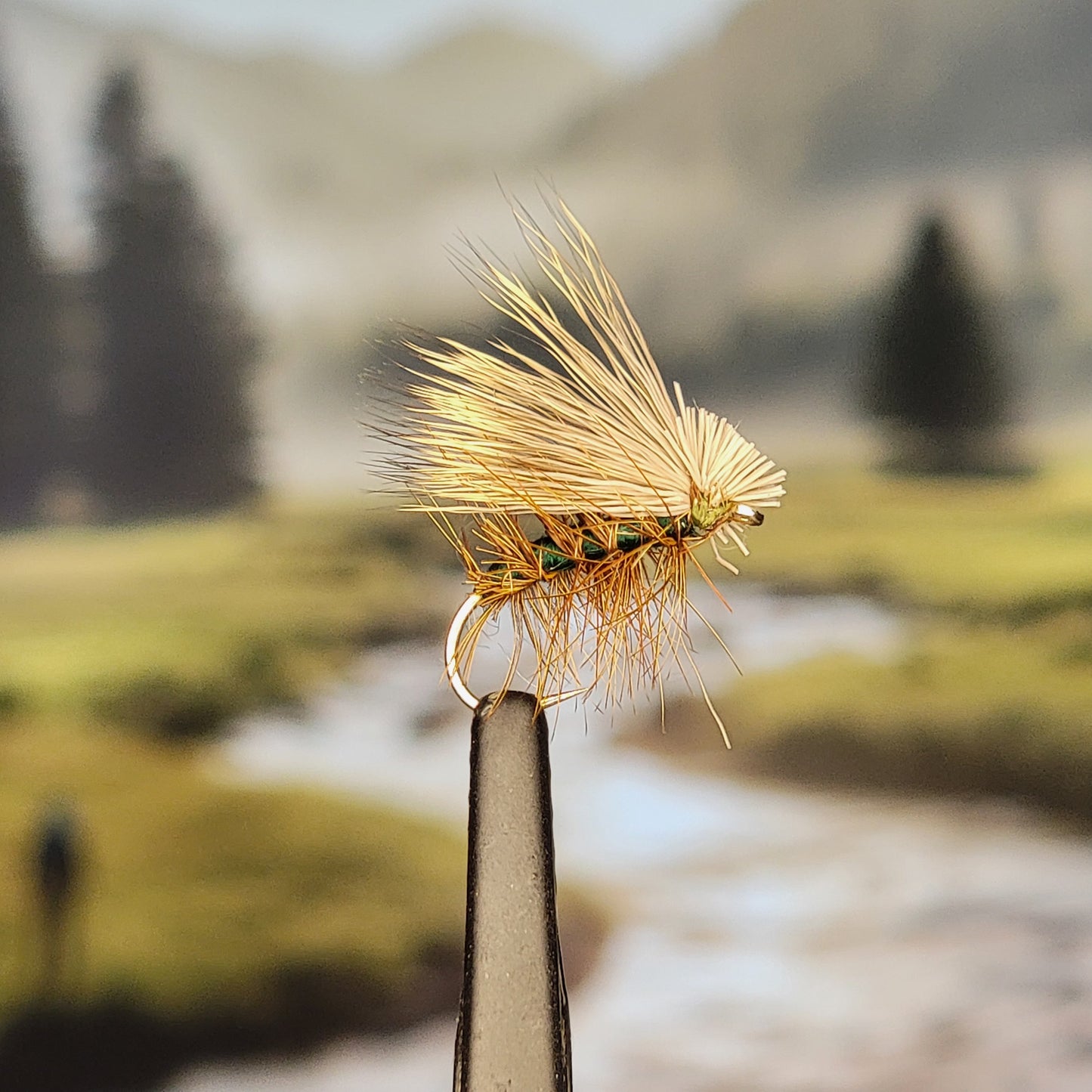 Elk Hair Caddis - Various Colors - Sizes #8 to #16 - (Pack of 3)