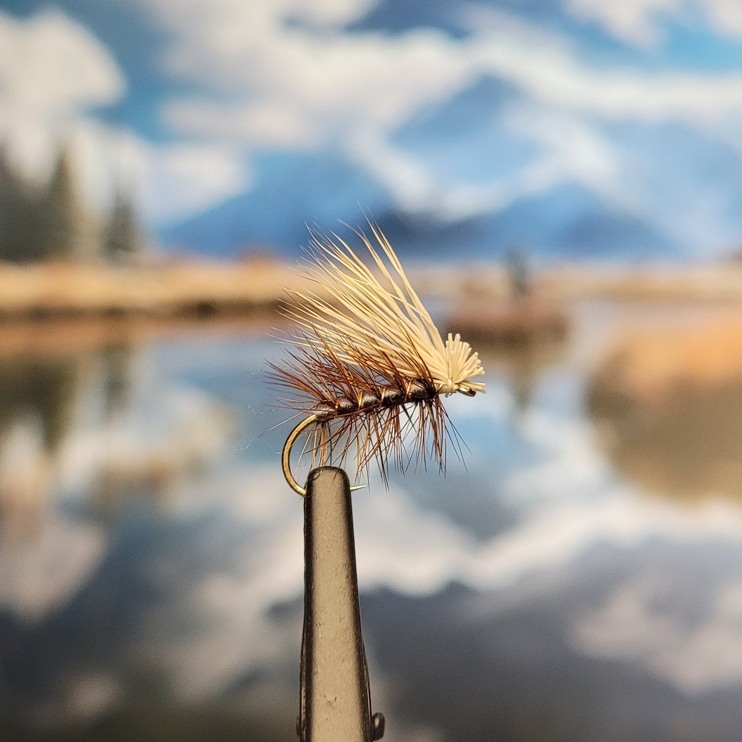 Elk Hair Caddis - Various Colors - Sizes #8 to #16 - (Pack of 3)