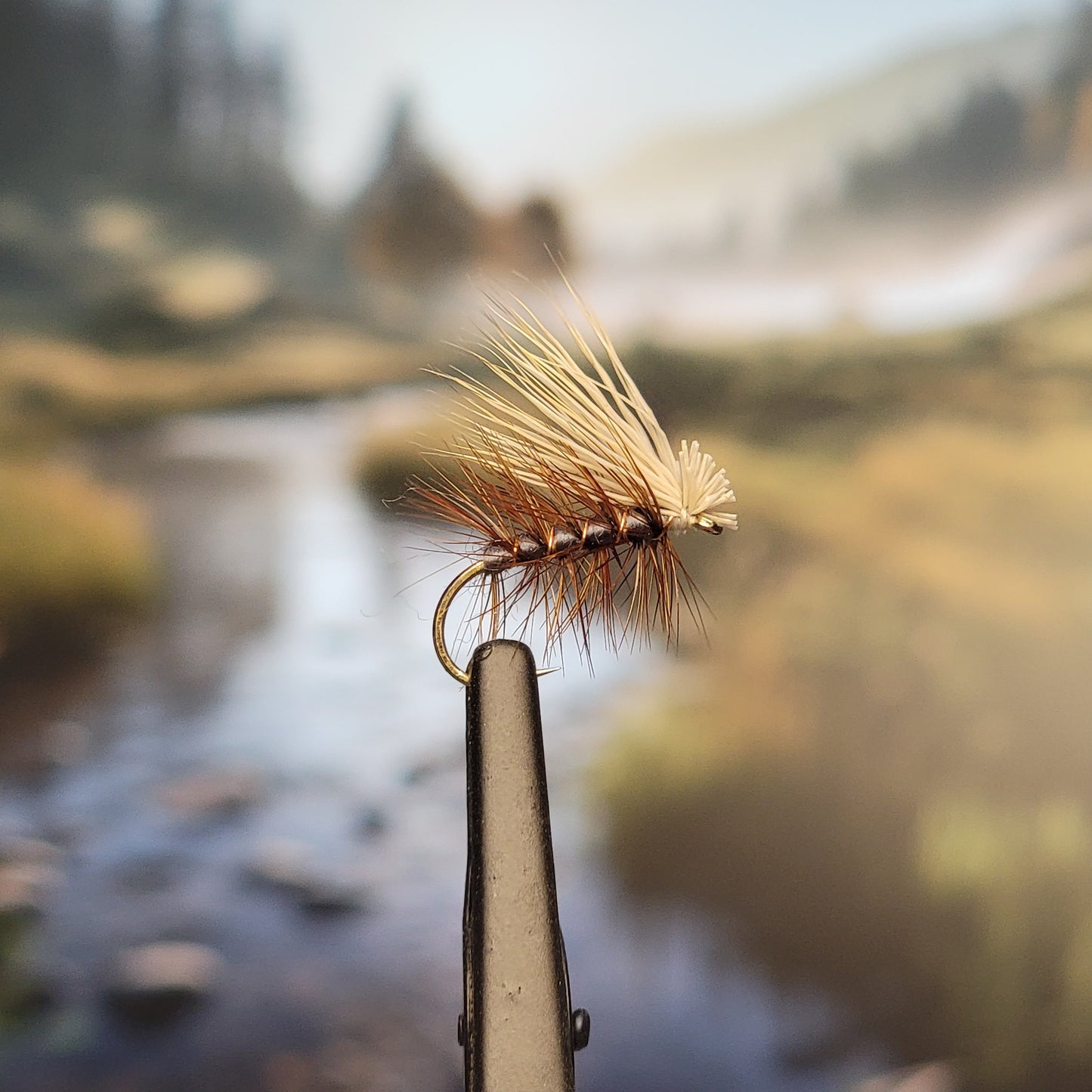Elk Hair Caddis - Various Colors - Sizes #8 to #16 - (Pack of 3)