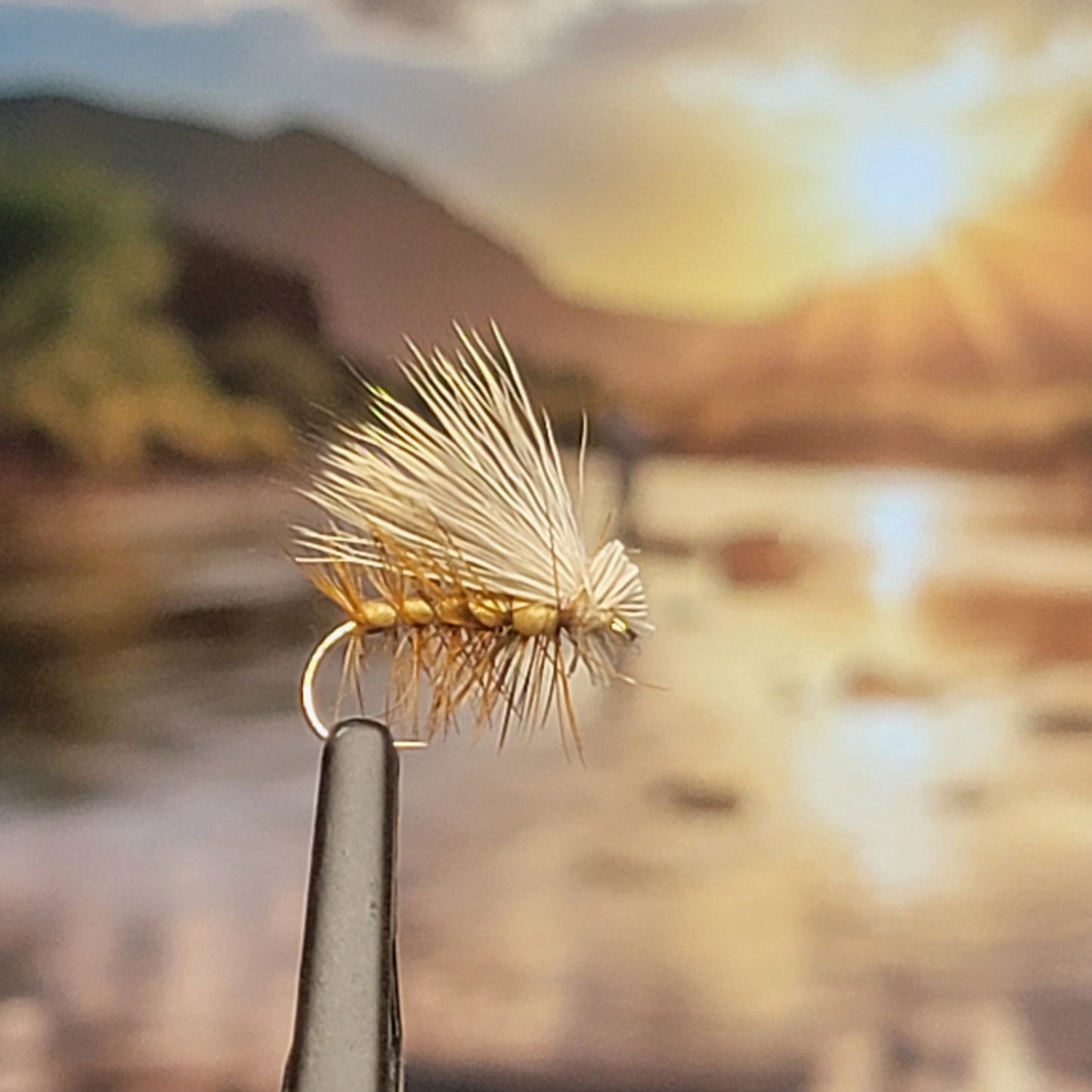 Elk Hair Caddis - Various Colors - Sizes #8 to #16 - (Pack of 3)