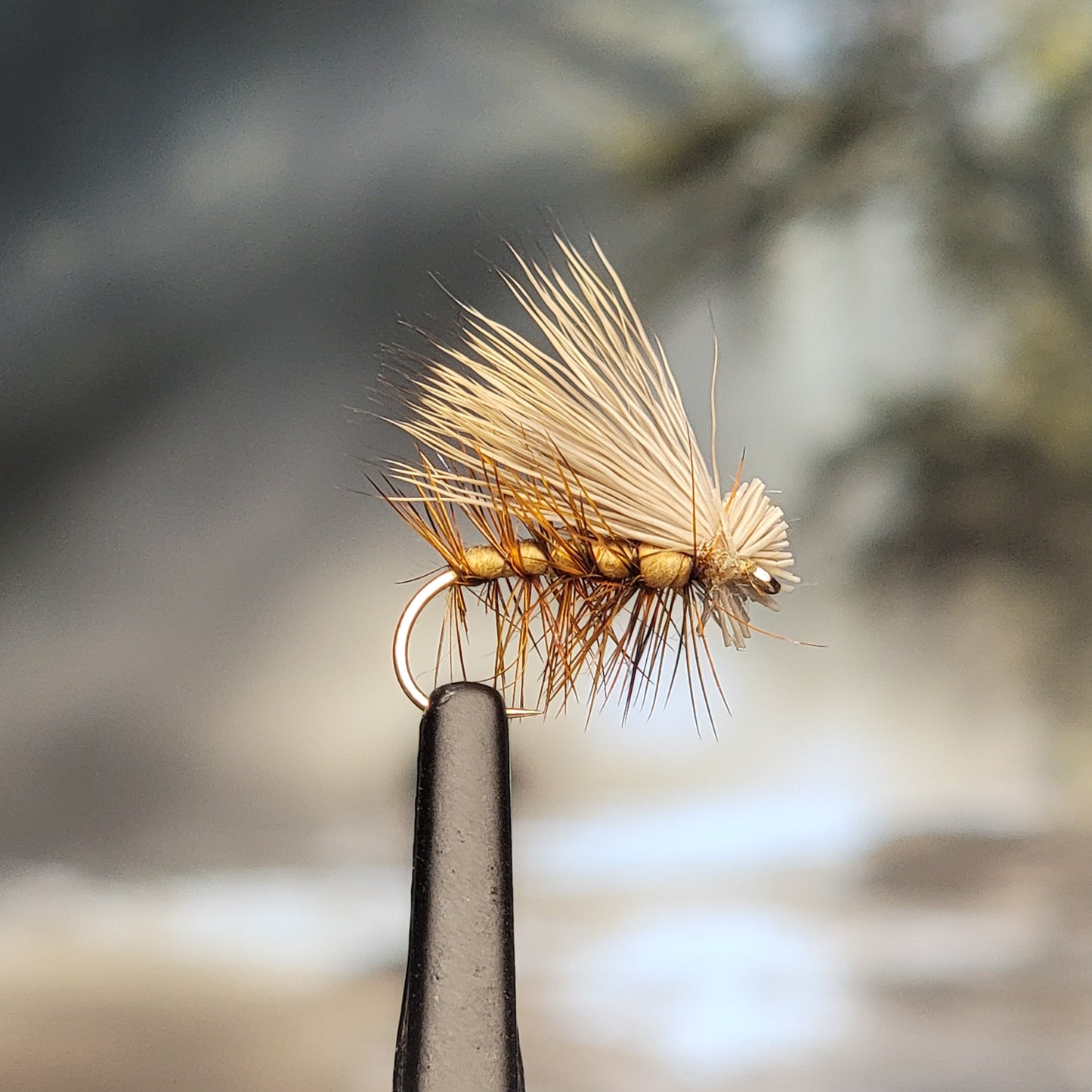 Elk Hair Caddis - Various Colors - Sizes #8 to #16 - (Pack of 3)