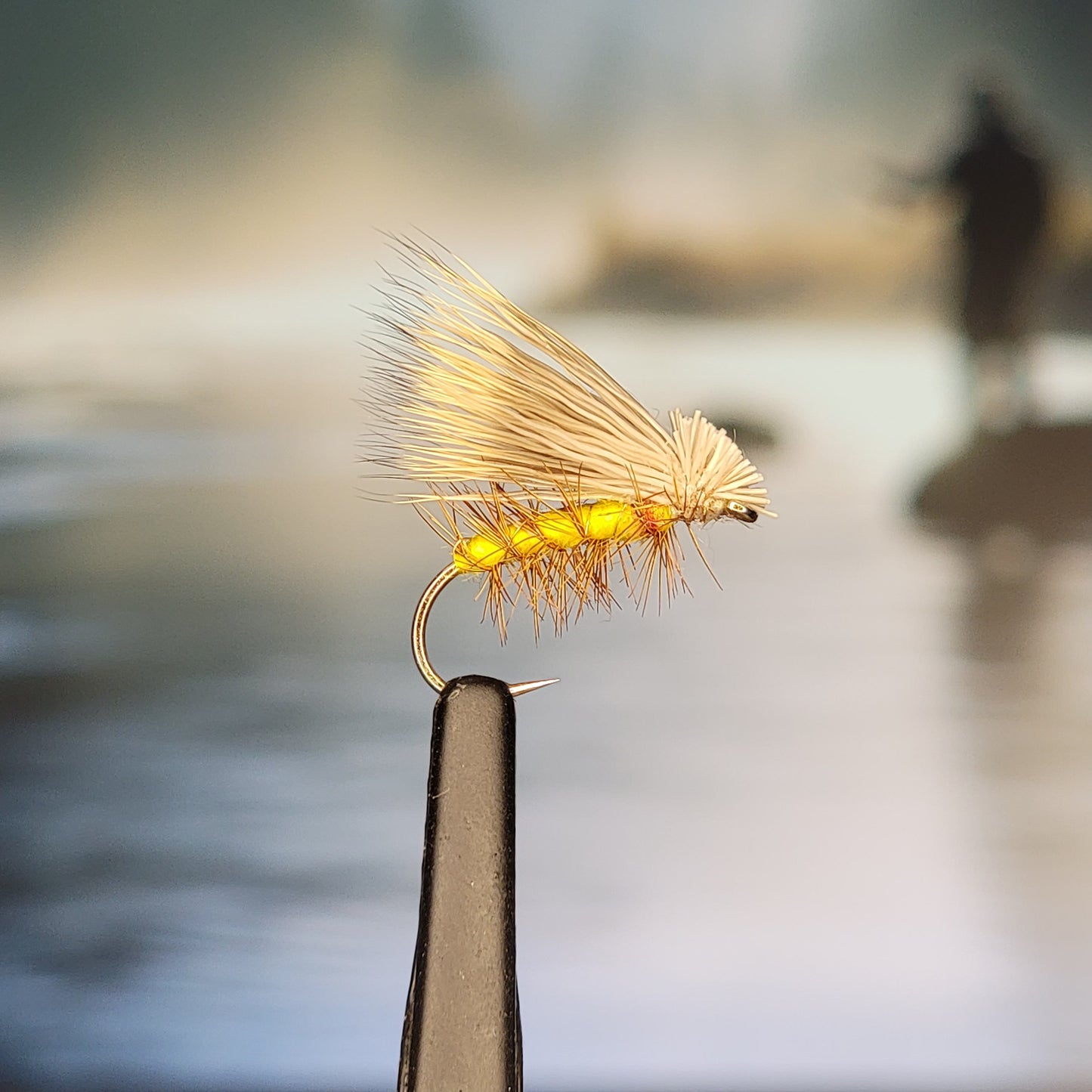 Elk Hair Caddis - Various Colors - Sizes #8 to #16 - (Pack of 3)