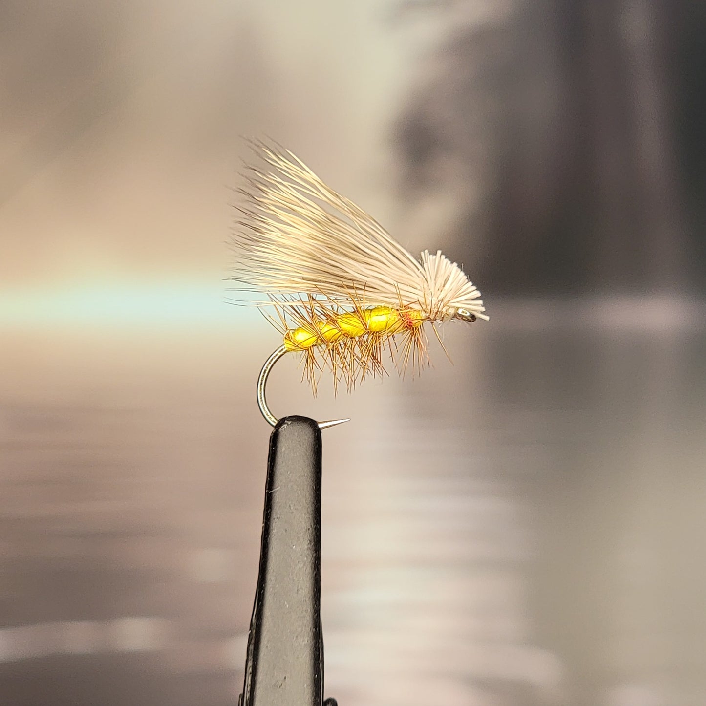 Elk Hair Caddis - Various Colors - Sizes #8 to #16 - (Pack of 3)
