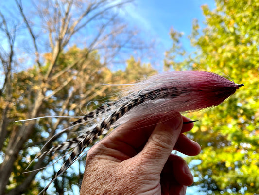 Reverse Bulkhead Hollow Fly - Grizzly body with rose head