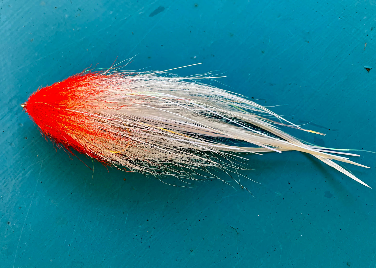 Reverse Bulkhead - White body with red head