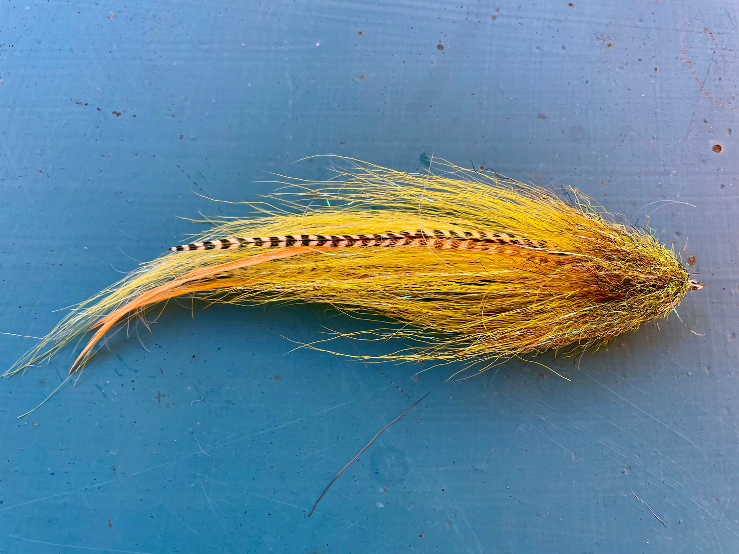 Reverse Bulkhead - Yellow body with Olive head