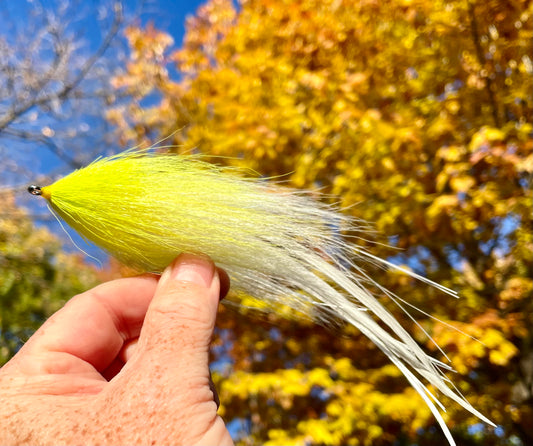 Reverse Bulkhead Hollow Fly - White body with chartreuse head