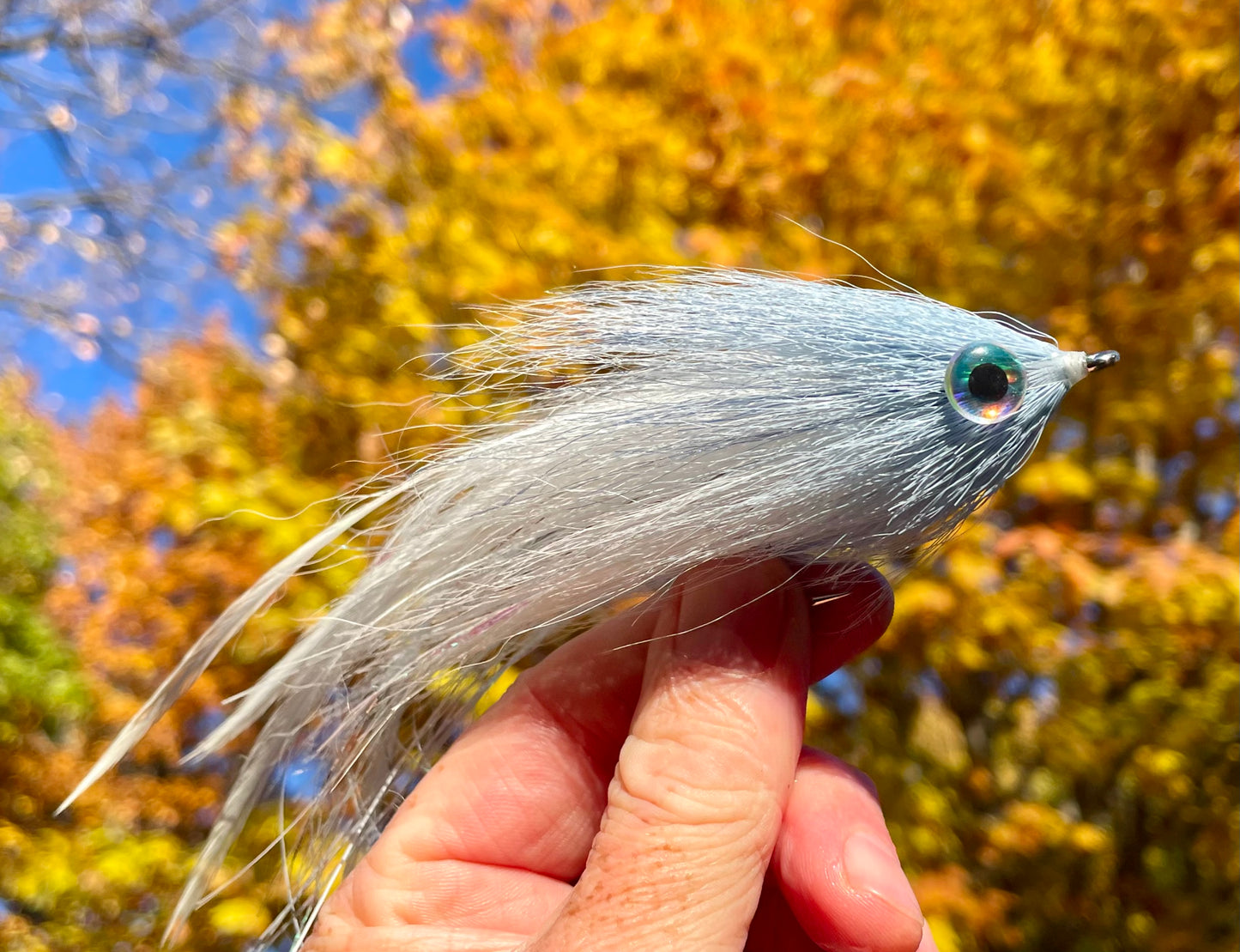 Reverse Bulkhead Hollow Fly - White body with blue steel head and 3d eyes